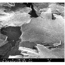type_a-sem.webp