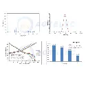 AOT_Layered_oxide_3.webp