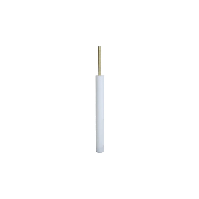 [AIDA Pt110] AIDA Pt Working Electrode ID:1mm